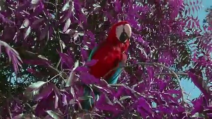 송파출장안마-{카톡VVV75 }⊀Ö7Ô-7575-0077⊁송파출장맛사지'20대'송파출장안마출장안마코스송파출장안마송파출장맛사지-황제송파출장맛사지-송파콜걸.