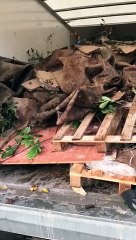 Rubbish Removal Fulham - by Frank Rubbish Removal