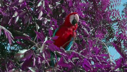 연천출장안마-{카톡VVV75 }⊀Ö7Ô-7575-0077⊁연천출장마사지'20대'연천출장안마출장안마코스연천출장안마연천출장맛사지-황제연천출장맛사지-연천콜걸.