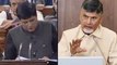 AP CM Chandrababu Fires on Union Budget | Oneindia Telugu