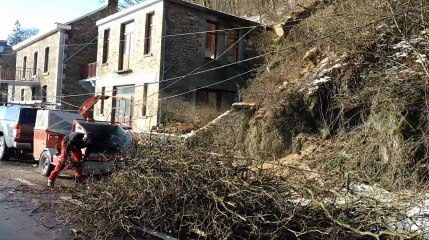 Arbres sur la chaussée a Hamoir