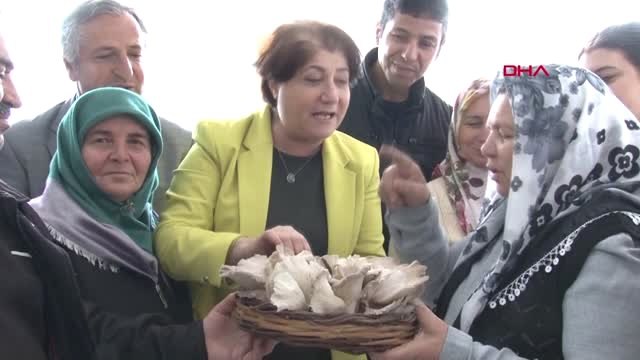 İzmir Kadınlar İstiridye Mantarı Üretimini Sevdi