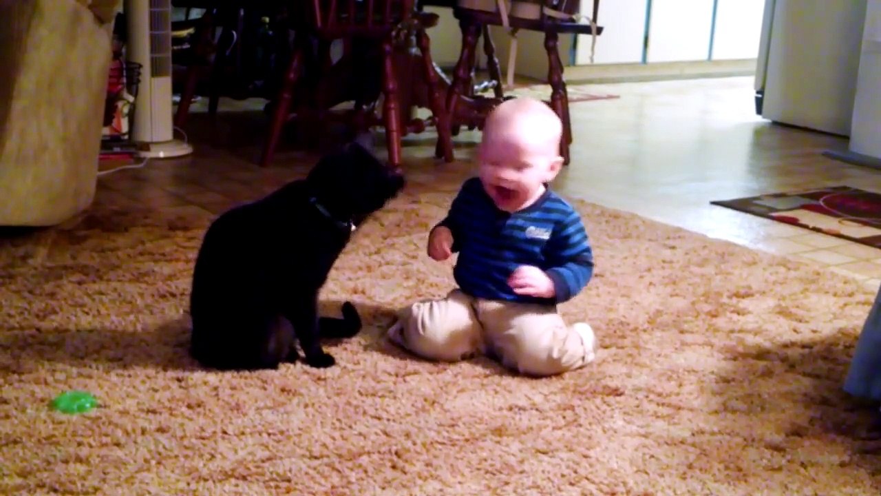Baby And Cat Funny