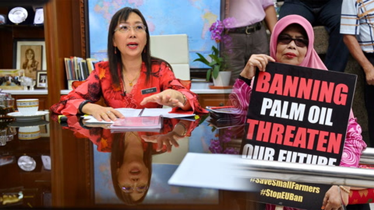 Kok: Malaysians should stand up to defend palm oil