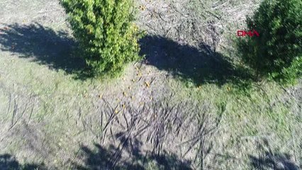 Antalya Doğal Afet Nedeniyle Portakal Fiyatı Artacak'