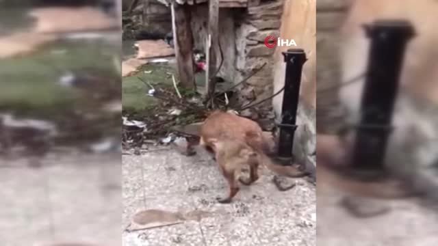 Narkotik Polisinden Zehir Tacirlerine Büyük Darbe: 34 Gözaltı