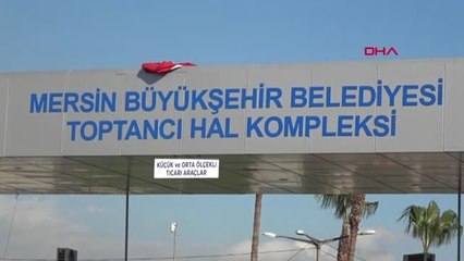 'Yaşanan Hortum Sonrası Mersin Hali'nden Narenciye Fiyatları Arttı"