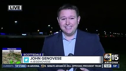 Fourth Dolphin In Three Years Dies At Dolphin Exhibit