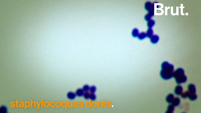 Les écrans tactiles sont des nids à bactéries