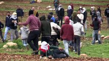 İsrail güçleri Batı Şeria'da 17 Filistinliyi yaraladı (1) - RAMALLAH