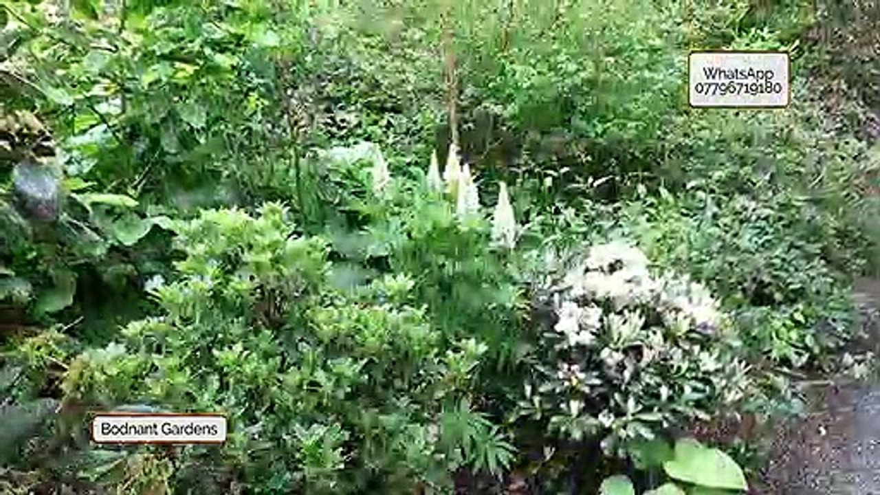 Bondnant Gardens stroll