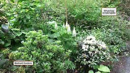 Bondnant Gardens stroll