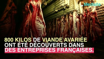 800 kg de viande avariée découverts en France