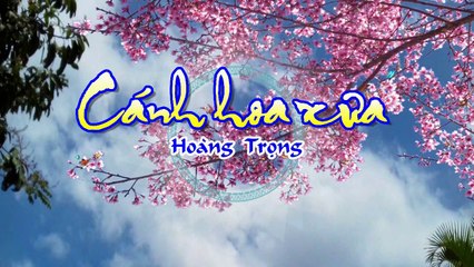 [Karaoke] CÁNH HOA XƯA - Hoàng Trọng (Giọng Nữ)