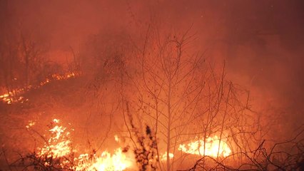 설 연휴 산불 '비상'...올해 산불 3.4배 급증 / YTN