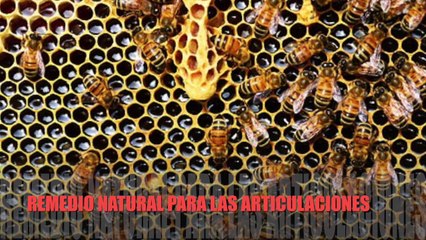 Con este Batido, Vas a Fortalecer los Ligamentos y Tendones de la rodilla