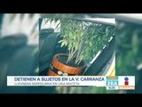 Detienen a pareja que transportaba una maceta de marihuana | Noticias con Francisco Zea