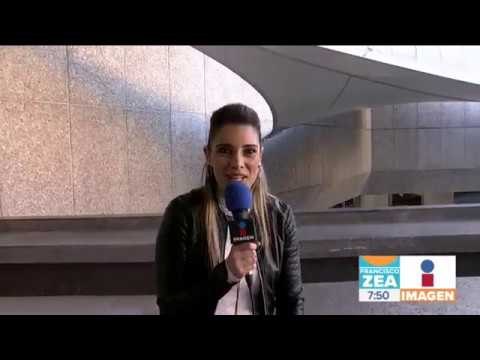 ¿Quieres adoptar una mascota? Conoce a Tramadol , un hermoso perrito que busca familia | Paco Zea