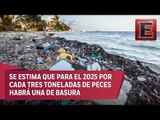 Cambio Climático: Plástico en mares y océanos