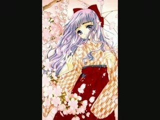 ° Sakura & Tomoyo °