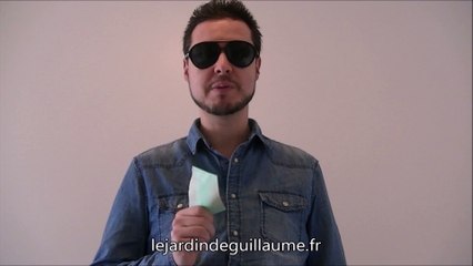 [LE JARDIN DE GUILLAUME] FERME URBAINE 16 AVRIL 2017 (interrupteur tactile et lunettes)