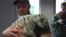 Ce bébé tigre est vraiment très en colère...