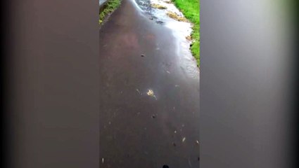 Ciclista afirma ter muitas dificuldades ao trafegar na marginal da BR-277