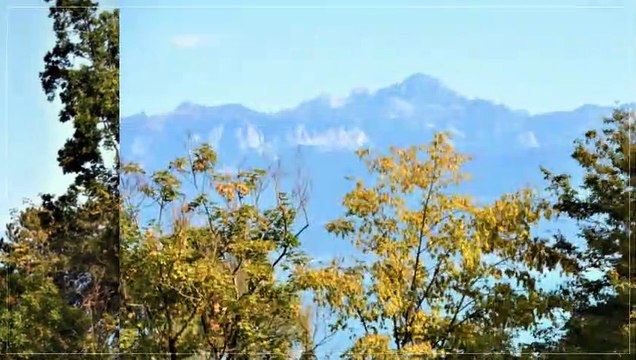 A vendre - Appartement - Morges (1110) - 4.5 pièces - 127m²