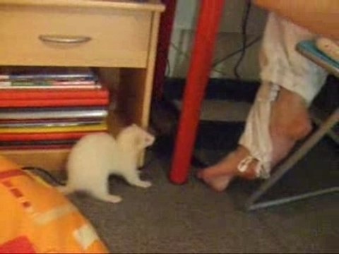 Mes Fufus dans tous leurs états