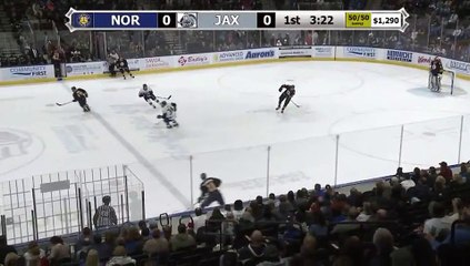 ECHL Norfolk Admirals 1 at Jacksonville Icemen 0
