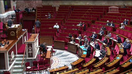 1ère séance : Prévention et sanction des violences lors des manifestations (suite) - Vendredi 1 février 2019