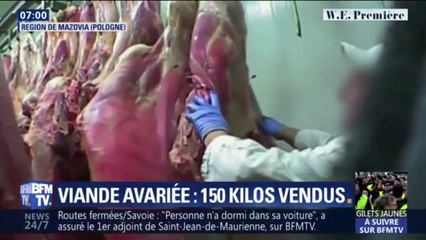 Viande avariée polonaise: 145 kg toujours recherchés en France