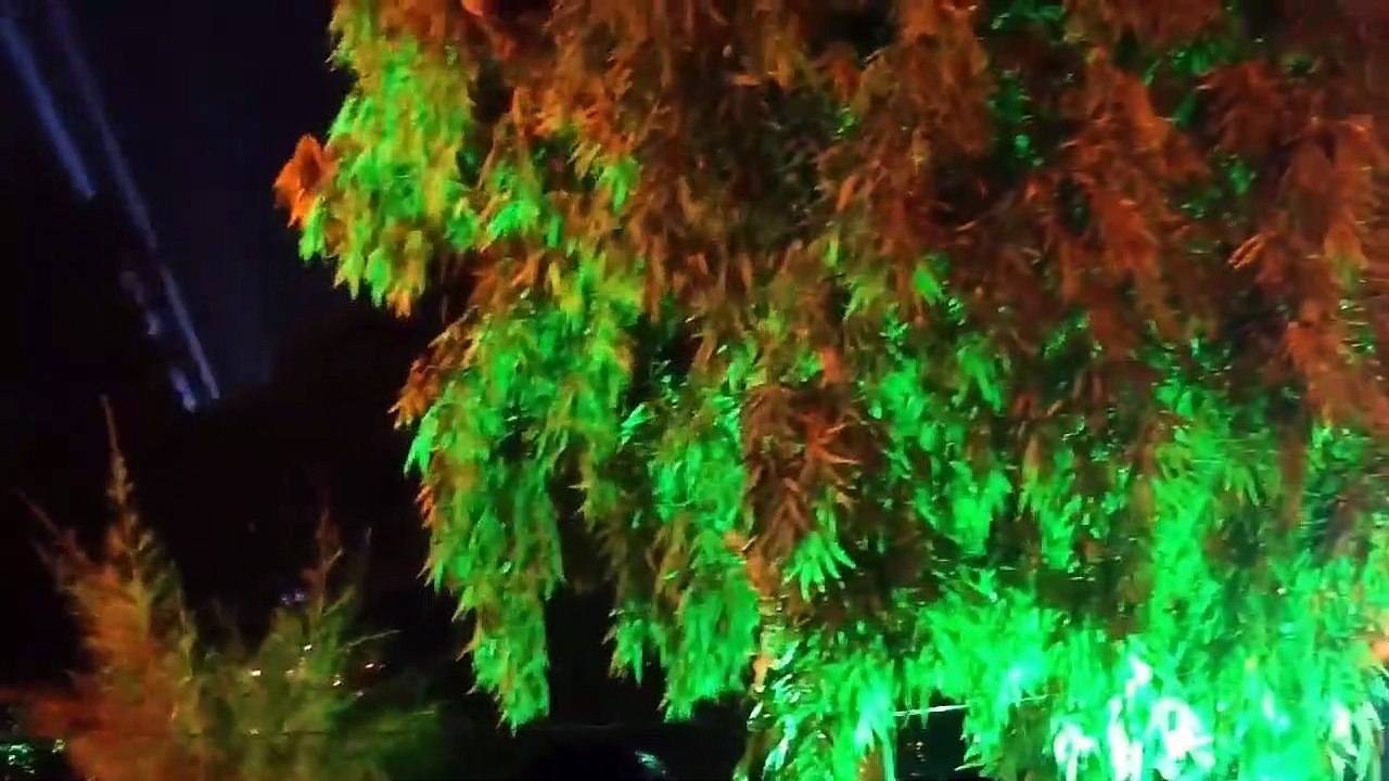 Kankaria Carnival Ahmedabad _ New Year Celebration at Kankaria Lake Ahmedabad _ 31st December