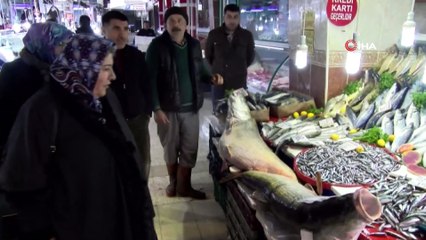 Malatya balık pazarında dev kurşun balığı