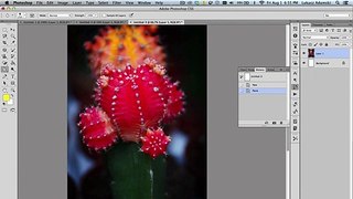 How to use a Blur Tool in Photoshop