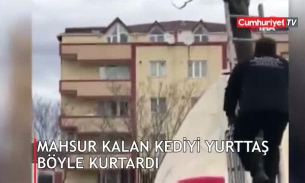 Ağaçta mahsur kalan kediyi yurttaş böyle kurtardı