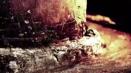 "American Supernatural":  The Haunted Pillar*