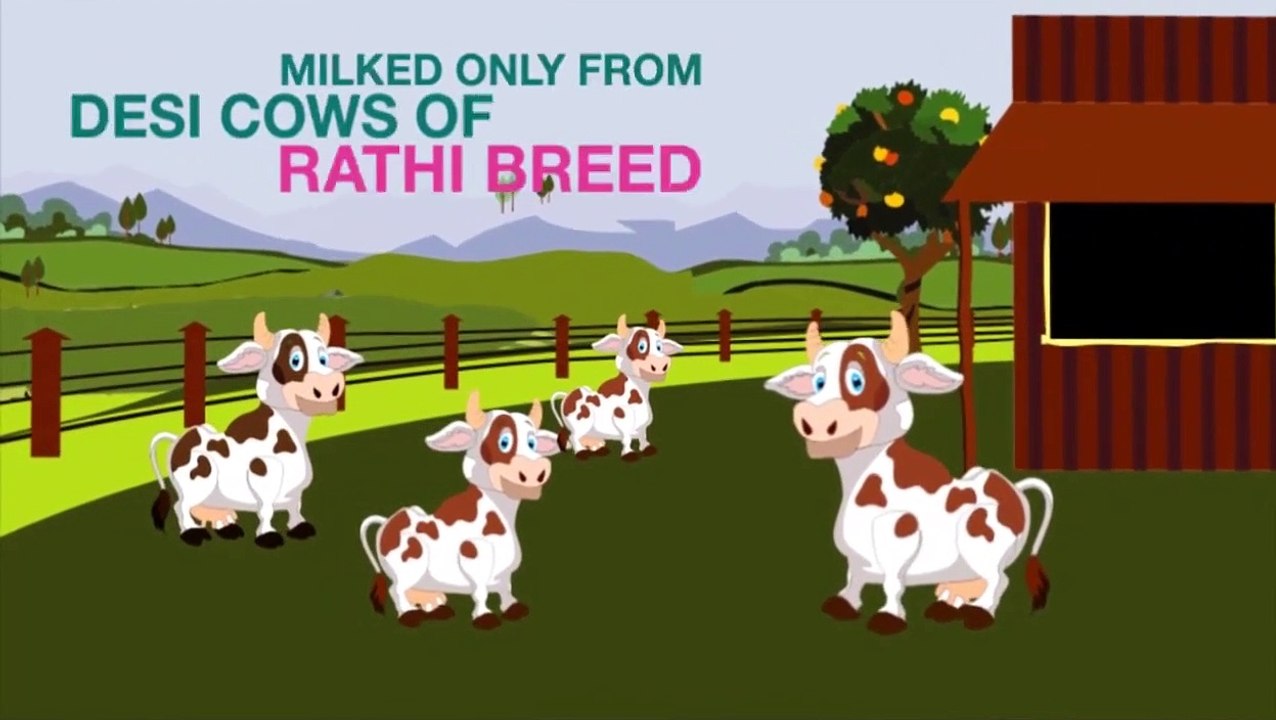 DairyLac - Get Free Milk 1 Litre Each Day for 2 Days for FREE _ December 21, 2018