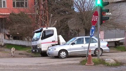 Sokak köpekleri vatandaşların korkulu rüyası oldu