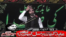 Allama Hafiz Syed Mustafa Rizvi Faisal Abad  18th Muhram 1440(2018) Choti Behak Hafizabad
