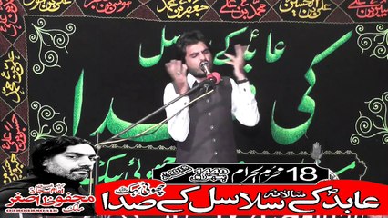Allama Iftar Ul Hassan Al Hussaini Melsi  18th Muhram 1440(2018) Choti Behak Hafizabad