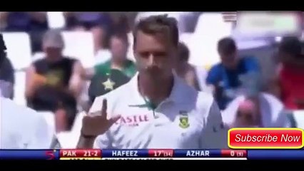 Hafeez vs Steyn