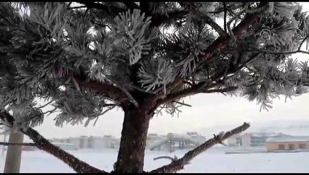 Doğu Anadolu'da 477 köy ve mahalle yolu kapalı - ARDAHAN