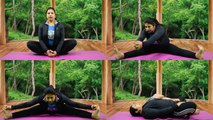 Yoga Exercise for PCOD - Part-1: अनियमित मासिक और PCOD की समस्या जड़ से मिटायेंगे ये आसन | Boldsky