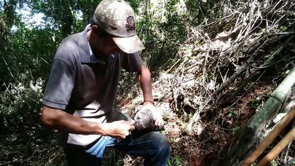em troca de agua plantei duas mudas de Arvore