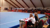 Sarreguemines : les jeunes gymnastes en compétition