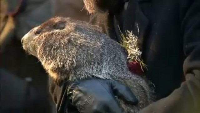 День сурка – весна не за горами