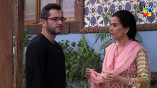 Ranjha Ranjha Kardi - Epi 14 - HUM TV Drama - 2 February 2019 || Ranjha Ranjha Kardi (02/02/2019)