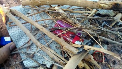 What Happens If we Put 3 Lighters into Fire