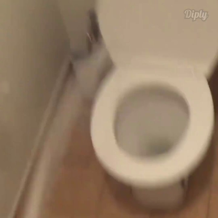 Vous allez comprendre pourquoi la cuvette des toilettes est crade...